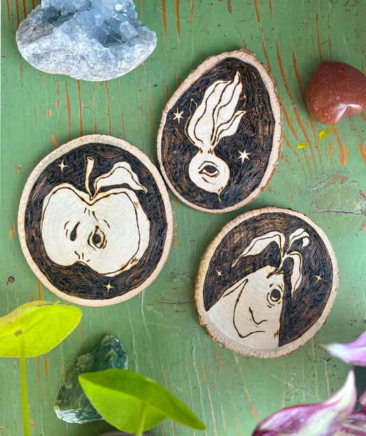 Friends Not Foods Woodburned Miniature Plaques